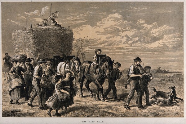 A large group of people are bringing in a load of hay on a cart, one man in front is playing a fiddle, and children are travelling on top of the hay. Wood engraving after E.N. Downes.