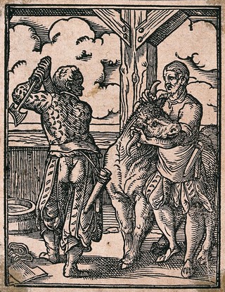 A butcher wielding an axe to slaughter a bull. Woodcut by J. Amman.