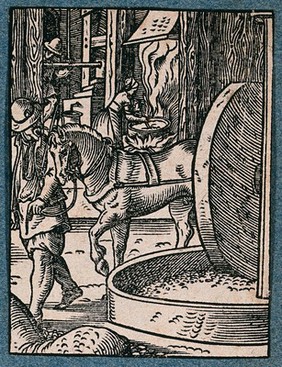 A workshop in which oils are made from trees, nuts, berries etc. for foodstuffs and medicines. Woodcut by J. Amman.