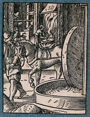 view A workshop in which oils are made from trees, nuts, berries etc. for foodstuffs and medicines. Woodcut by J. Amman.