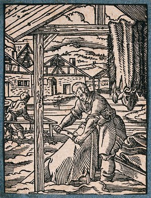 view A tanner or leather worker scraping animal hides. Woodcut by J. Amman.