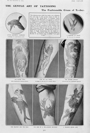 view Six arms showing different designs of tattoo, and two smaller views of tattoos. Process print, 1903.