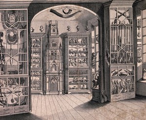 view Richard Greene's museum at Lichfield, the "Lichfield clock" standing among cabinets of curiosities. Engraving by Cook.