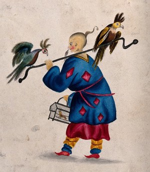 view A man in China carrying three exotic birds on a a pole and in a cage. Watercolour.