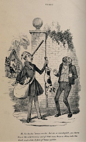 view A man with a gun and a bag on his shoulder is holding a black and white rabbit up by its hind legs and showing it to another man in the street, who tells him he is shooting pet rabbits instead of wild ones. Lithograph after R. Seymour.