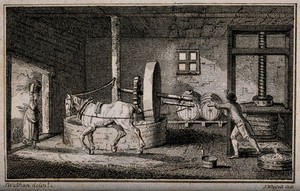 view A horse turning the wheel to crush apples in a cider-mill. Engraving by J. Whessell after J. Wathen.