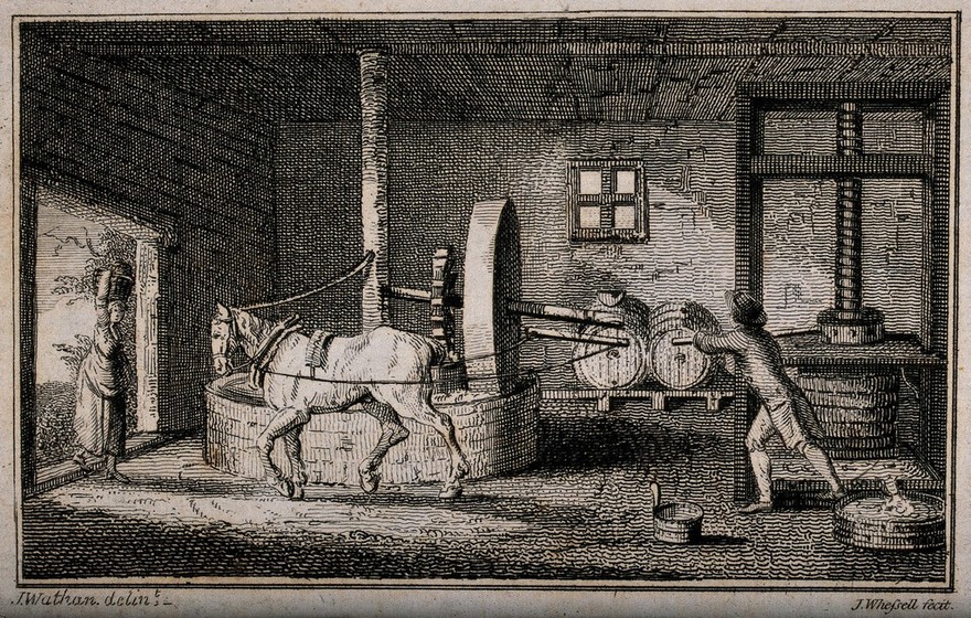 A horse turning the wheel to crush apples in a cider-mill. Engraving by J. Whessell after J. Wathen.