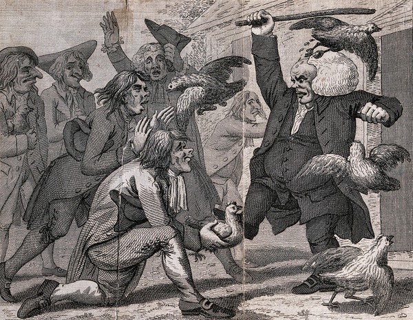 A parson is being attacked by a mob with hens. Etching by J. Barlow after S. Collings.