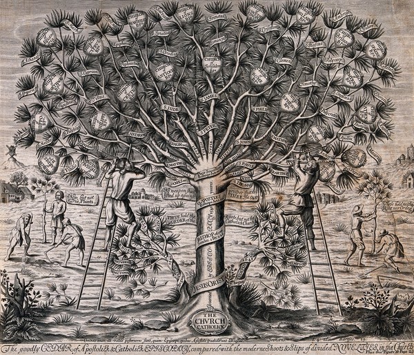 A great cedar tree representing the Catholic church, contrasted with two smaller trees representing later denominations. Engraving after W. Cave, ca. 1675.