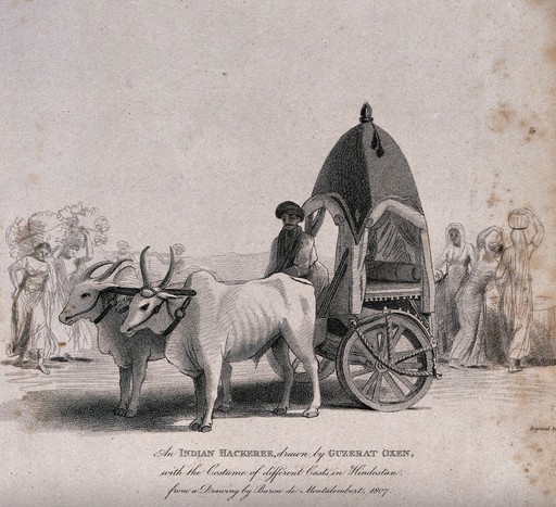 A vehicle with wooden wheels pulled by two oxen. Engraving after Baron de Montalembert.