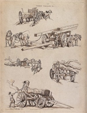 view Men loading timber on to wagons, and horses pulling the wagons. Etching with aquatint by W.H. Pyne, 1804.