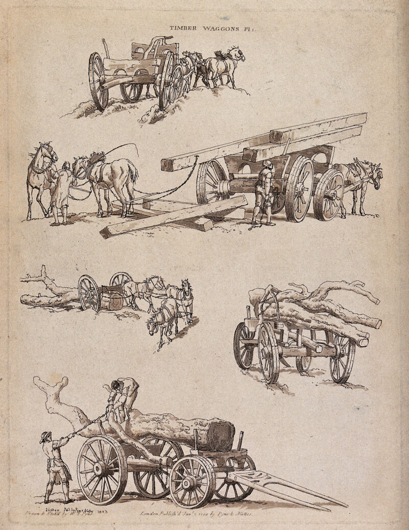 Men loading timber on to wagons, and horses pulling the wagons. Etching with aquatint by W.H. Pyne, 1804., Jan. 1804, by William Henry Pyne