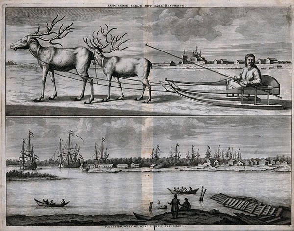 Archangel: (above) two reindeer harnessed to a sledge which a boy is driving; (below) ship building docks and ferry. Etching.
