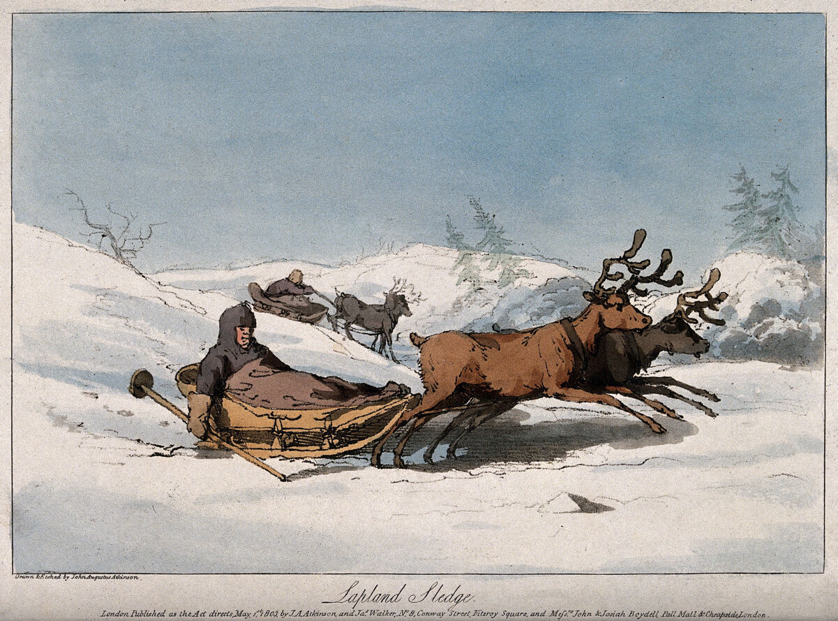 Reindeer pulling children in sledges in Lapland. Coloured aquatint with etching by J.A. Atkinson. by Atkinson, John Augustus, 1775-approximately 1833.