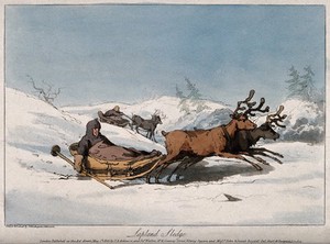 view Reindeer pulling children in sledges in Lapland. Coloured aquatint with etching by J.A. Atkinson.