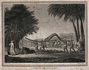 view A European man in the East Indies is lying in a litter with a roof as he is being carried by four men. Engraving by Walker after Walker, 17--.