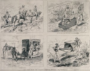 view Horseback, sledge, sleigh and a hammock used as modes of transport in Madeira. Wood engraving, 1879.