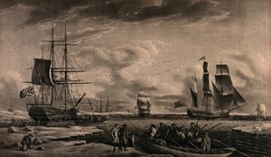 view Whaling: sailors arriving at Greenland to kill whales, their ships being out at sea. Aquatint by R. Dodd, 1789.