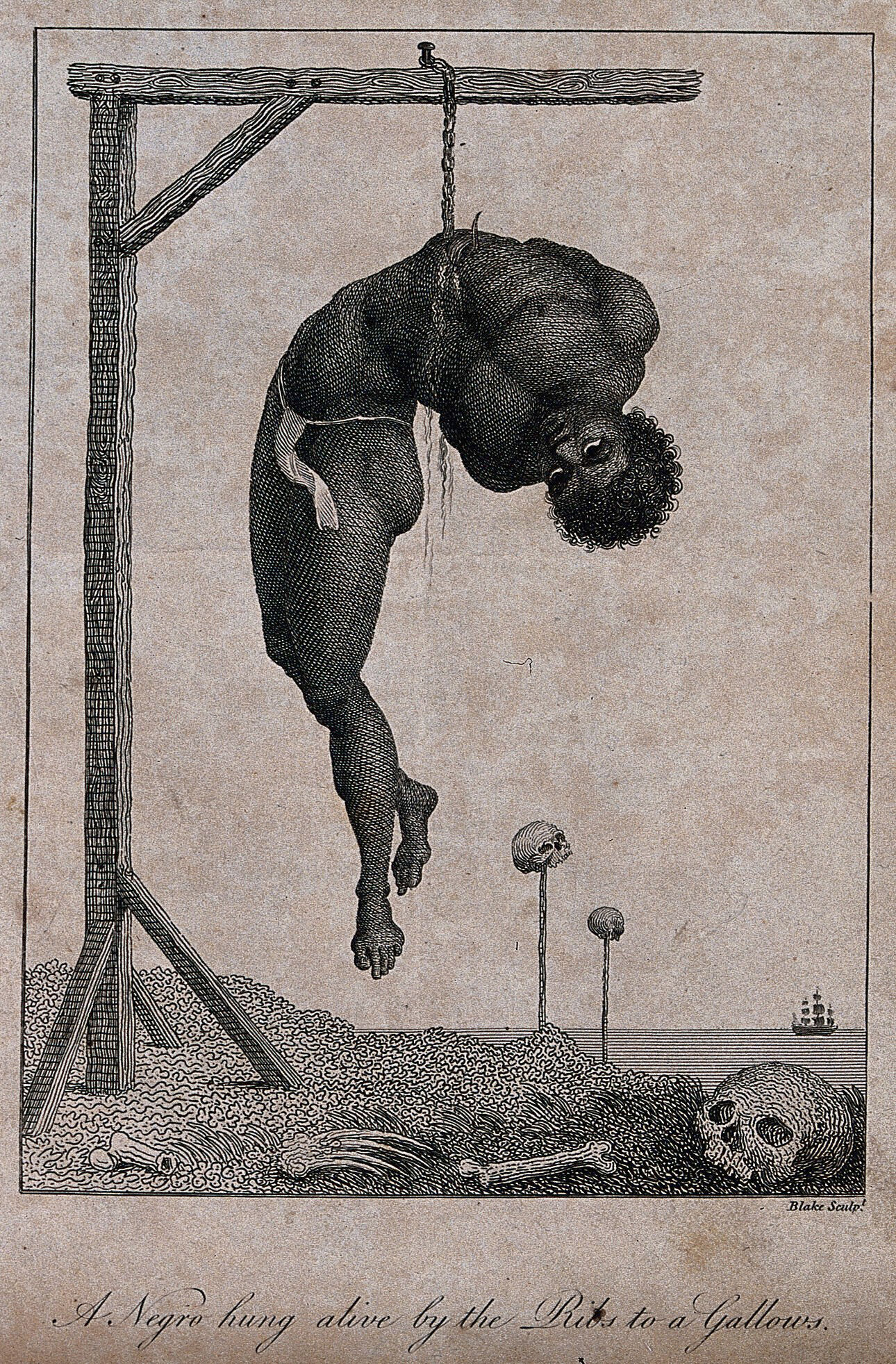 Hangs: Draw Together by Big Human