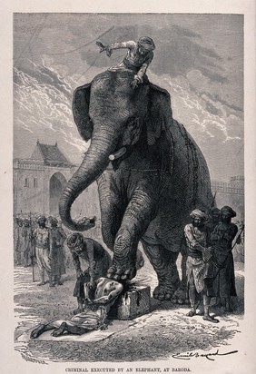 An elephant killing an Indian criminal by stamping on his head; guards standing next to it. Wood engraving by A.F.  Pannemaker, 1875, after E. Bayard after L. Rousselet.