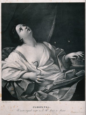 view The suicide of Cleopatra: Cleopatra lies on her bed clasping the tail of the asp that just bit her. Lithograph after Guido Reni.