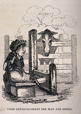 A man confined to the stocks with his legs is watched by a horse from its paddock. Wood engraving.