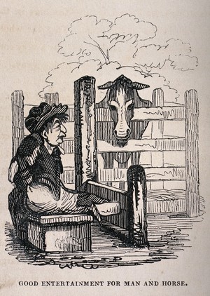 view A man confined to the stocks with his legs is watched by a horse from its paddock. Wood engraving.