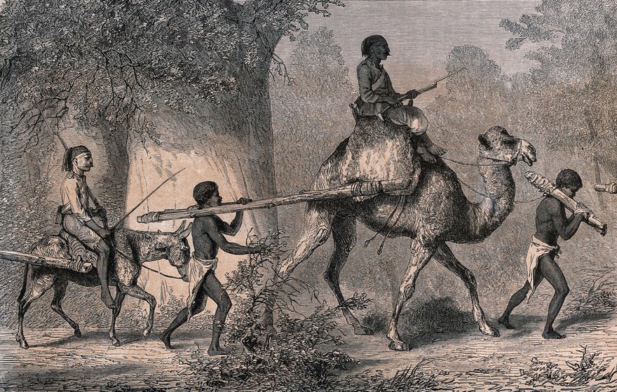 Slavery in the Sudan: people fastened at the neck to wooden clamps are being led away into slavery in Egypt. Wood engraving by F.J. Gauchard after K. Girardet.