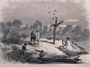 view A crucified man fallen prey to birds on an island; representing the punishment for cannibalism. Wood engraving by E. Meunier after Riou.