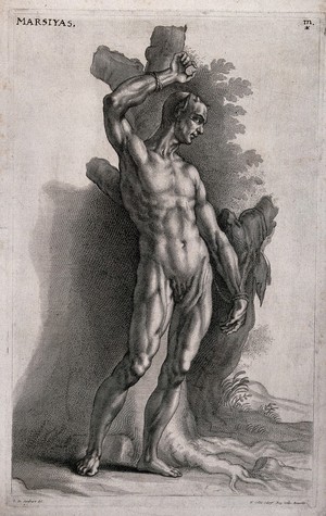 view The flayed Marsyas is tied to a tree with his skin hanging over a branch of the tree. Line engraving with etching by R. Collin after J. von Sandrart.