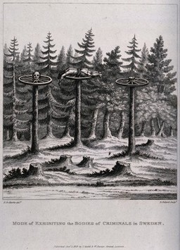 A head, a hand and a torso of a criminal, each deposited on a cartwheel on top of a stripped tree-trunk. Engraving by R. Pollard after E.D. Clarke, 1819.