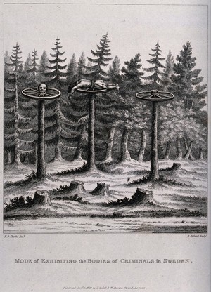 view A head, a hand and a torso of a criminal, each deposited on a cartwheel on top of a stripped tree-trunk. Engraving by R. Pollard after E.D. Clarke, 1819.