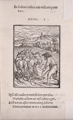 view The dance of death: the ploughman. Woodcut by Hans Holbein the younger.