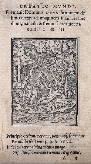 view The dance of death: the creation. Woodcut by Hans Holbein the younger.