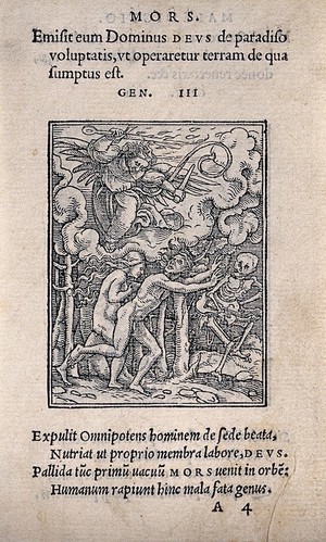 view The dance of death: the expulsion from paradise. Woodcut by Hans Holbein the younger.