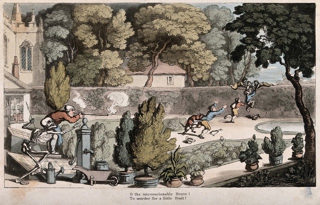 The dance of death: the urchin robbers. Coloured aquatint after T. Rowlandson, 1816.