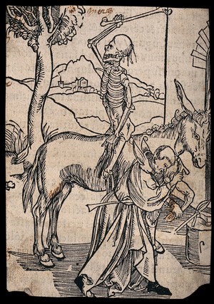 view A skeleton sits backwards on a horse waiting for a blacksmith, dressed as a fool, to finish his job. Woodcut.