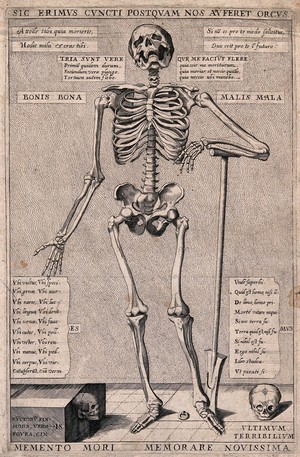 view A skeleton as a reminder of death. Etching.