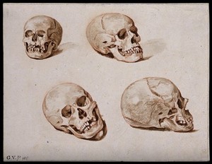 view Four sketches of skulls. Watercolour, 1817.