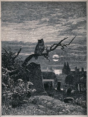 view A graveyard at night with an owl perched on a branch. Reproduction of a wood engraving by Robert Paterson, 18--.
