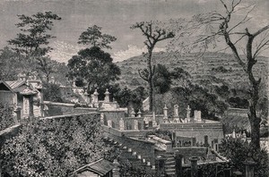 view The cemetery of Nagasaki. Wood engraving.