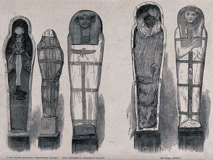 Mummy-cases for Queen Hathor Hont-Taui, King Thothmes II and the priest Nebseni and their mummified contents. Wood engraving after E. Brugsch, 1882.