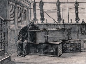 view Jacob Wainwright sitting next to the coffin of David Livingstone on board ship. Wood engraving by J. Nash, after a photograph.