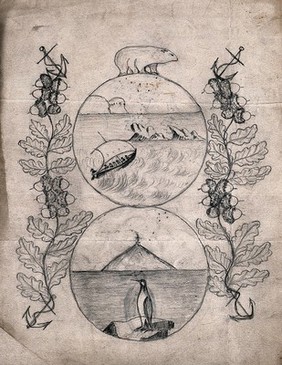 Ornamented borders of Tartary oak (Quercus McCormickii), anchors and a polar bear round circular images of the Antarctic Ocean with penguin and boat. Pencil drawing by E. Wilson?, c.1844.