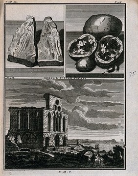 Plates of a cleft fossil, melons of stone and the ruined church of St. Iuan d'Akari. Line engraving after C. de Bruins, c.1704.