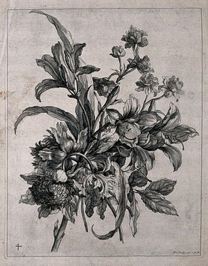 view Floral bouquet, with some lilies. Engraving by N. de Poilly, ca.1660, after himself.