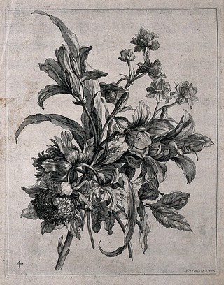 Floral bouquet, with some lilies. Engraving by N. de Poilly, ca.1660, after himself.