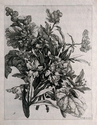 Floral bouquet. Engraving by N. de Poilly, c.1660, after himself.