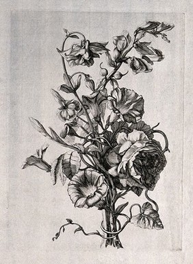 Floral bouquet. Engraving.