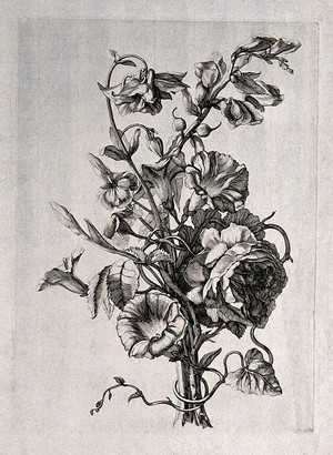 view Floral bouquet. Engraving.